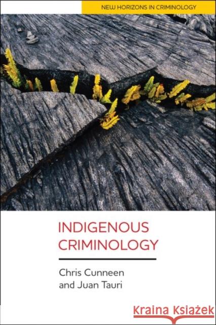 Indigenous Criminology Chris Cunneen Juan Tauri 9781447321750