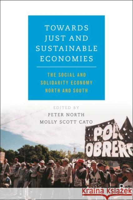 Towards Just and Sustainable Economies: The Social and Solidarity Economy North and South Molly Scott Cato Peter North 9781447327226