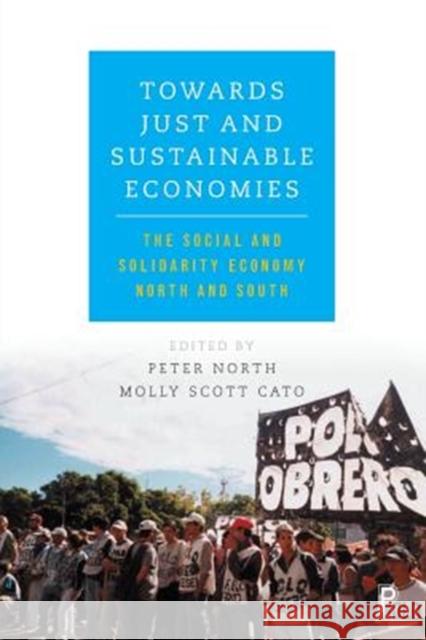 Towards Just and Sustainable Economies: The Social and Solidarity Economy North and South Molly Scott Cato Peter North Molly Scot 9781447327233 Policy Press