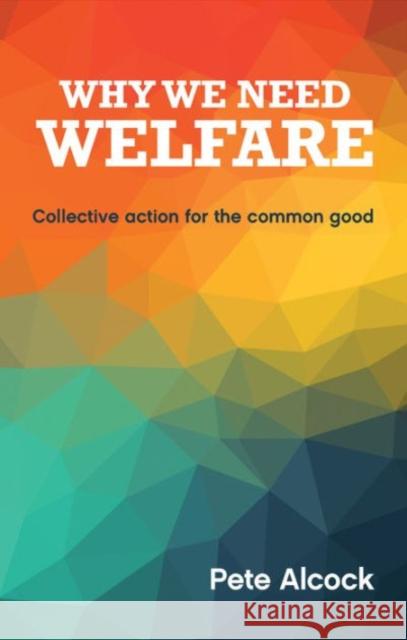 Why We Need Welfare: Collective Action for the Common Good Pete Alcock 9781447328346