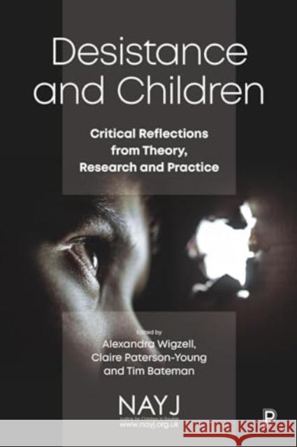 Desistance and Children: Critical Reflections from Theory, Research and Practice Alexandra Wigzell Claire Paterson-Young Tim Bateman 9781447369110