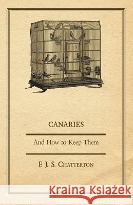 Canaries: And How to Keep Them F. J. S. Chatterton 9781447410478 Orchard Press