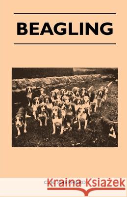 Beagling C. B. Shepherd 9781447412588 Martin Press