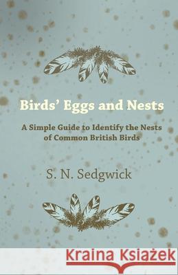 Birds' Eggs and Nests - A Simple Guide to Identify the Nests of Common British Birds S. N. Sedgwick 9781447412601 Landor Press