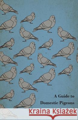 A Guide to Domestic Pigeons - With Chapters on Doves, Training and Their Habits Anon 9781447414766 Saveth Press