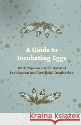 A Guide to Incubating Eggs - With Tips on Bird's Natural Incubation and Artificial Incubation Anon 9781447414773 Patterson Press