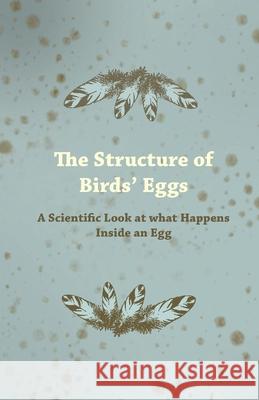 The Structure of Birds' Eggs - A Scientific Look at what Happens Inside an Egg Anon 9781447414971 Mason Press