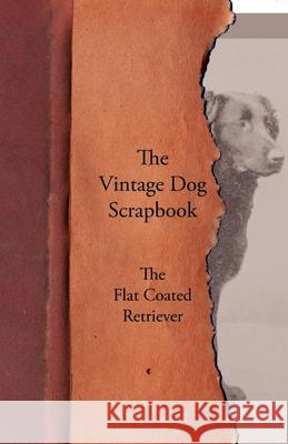 The Vintage Dog Scrapbook - The Flat Coated Retriever Various 9781447428534 Vintage Dog Books