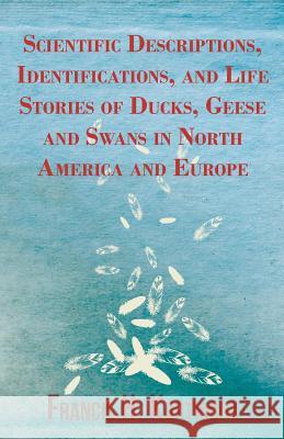 Scientific Descriptions, Identifications, and Life Stories of Ducks, Geese and Swans in North America and Europe Francis H. Kortright 9781447431978 Read Country Books