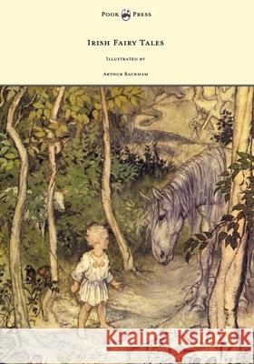 Irish Fairy Tales - Illustrated by Arthur Rackham James Stephens Arthur Rackham 9781447449096 Pook Press
