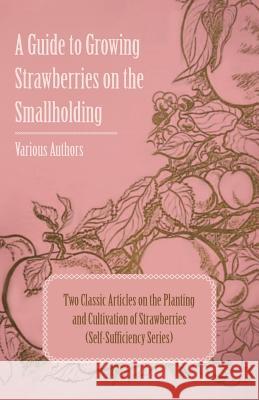 A Guide to Growing Strawberries on the Smallholding - Two Classic Articles on the Planting and Cultivation of Strawberries (Self-Sufficiency Series) Various 9781447454298 Moulton Press
