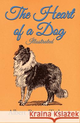 The Heart of a Dog - Illustrated Albert Payson Terhune 9781447472483 Brunauer Press