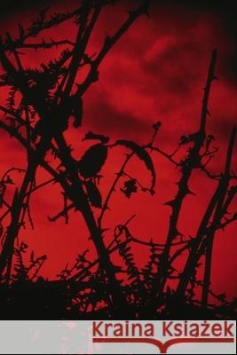 Horror Lobby! Jaap de Wreede 9781447885733 Lulu.com