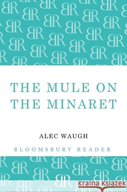 The Mule on the Minaret: A Novel about the Middle East Alec Waugh 9781448200757 Bloomsbury Publishing PLC