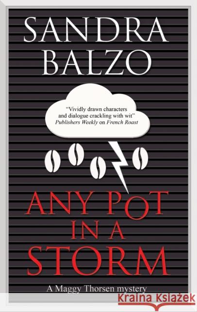 Any Pot in a Storm Sandra Balzo 9781448306749 Canongate Books