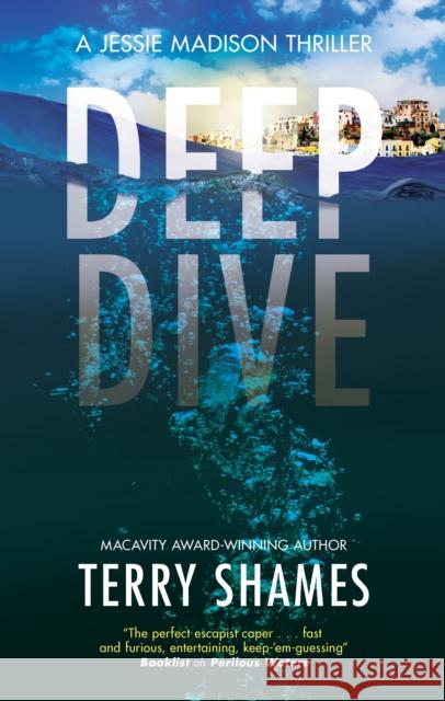 Deep Dive Terry Shames 9781448316175 Canongate Books