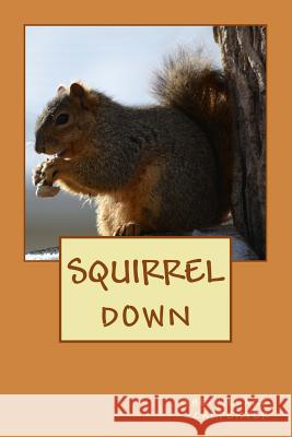 Squirrel Down The Village Carpenter Charles Lee Emerson 9781448653188