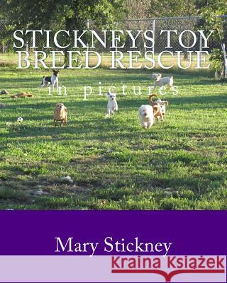Stickneys Toy Breed Rescue in pictures: 2005 thru 2011 Stickney, Mary 9781448680832 Createspace