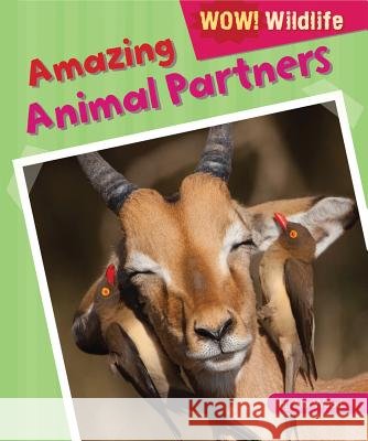 Amazing Animal Partners Alix Wood 9781448881017 Windmill Books