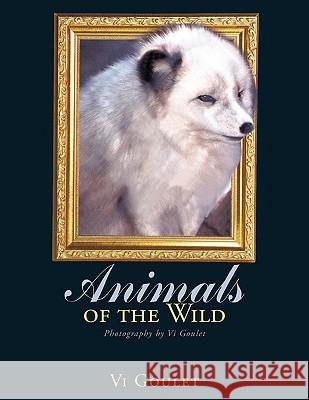 Animals of the Wild: Photography by Vi Goulet Goulet, VI 9781449010225 Authorhouse