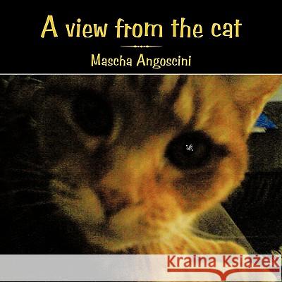 A View from the Cat Mascha Angoscini 9781449035044