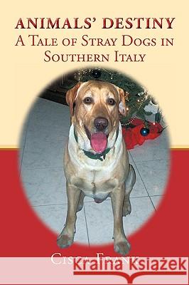 Animals' Destiny: A Tale of Stray Dogs in Southern Italy Frank, Cisca 9781449082031 Authorhouse