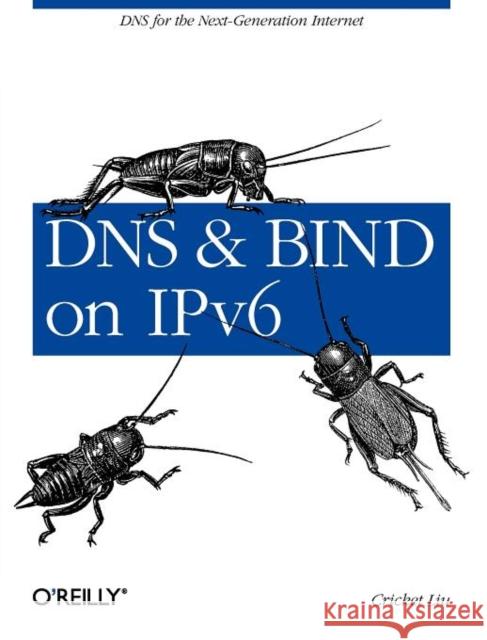 DNS and BIND on IPv6 Cricket Liu 9781449305192 O'Reilly Media