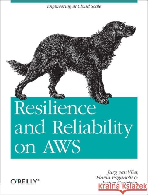 Resilience and Reliability on Aws: Engineering at Cloud Scale Vliet, Jurg Van 9781449339197