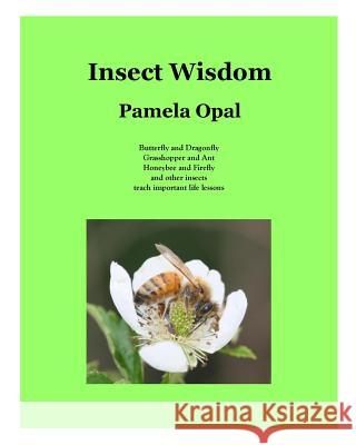 Insect Wisdom Pamela Opal Us Fish &. Wildlife Service              Easy Stock Photos 9781449504335 Createspace