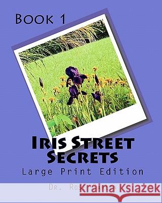 Iris Street Secrets: Large Print Edition Dr Rose Carlin 9781449514570 Createspace