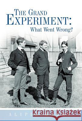 The Grand Experiment: What Went Wrong? Baldi, Alipio 9781449762148