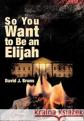 So You Want to Be an Elijah David J. Bruns 9781449769376