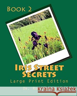 Iris Street Secrets: Large Print Edition Dr Rose Carlin 9781449918408 Createspace