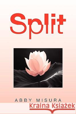 Split Misura Abb 9781450019200 Xlibris Corporation