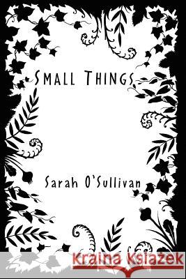 Small Things Sarah O'Sullivan 9781450092166