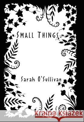 Small Things Sarah O'Sullivan 9781450092180