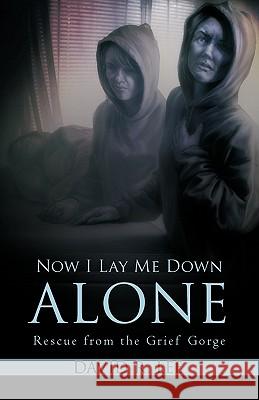 Now I Lay Me Down Alone: Rescue from the Grief Gorge David R Lee 9781450228596 iUniverse