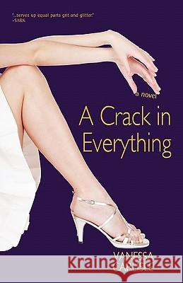 A Crack in Everything Vanessa Carlisle 9781450243926