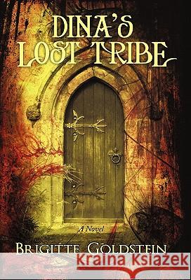 Dina's Lost Tribe Brigitte Goldstein 9781450251082