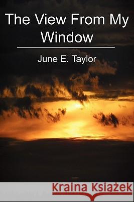 The View From My Window: Carcinoid Cancer and Me Taylor, June E. 9781450544672 Createspace