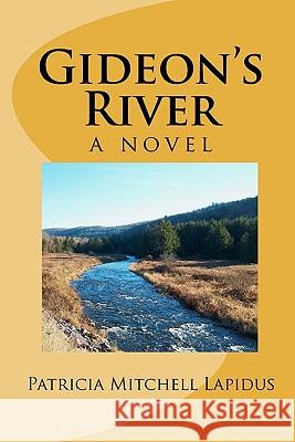 Gideon's River Patricia Mitchell Lapidus 9781450592208