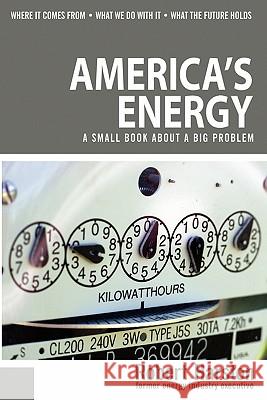 America's Energy: A Small Book About a Big Problem Harston, Robert 9781450598750 Createspace