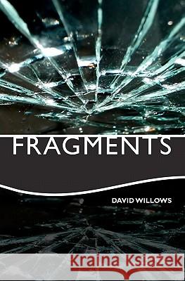 Fragments David Willows 9781451504187 Createspace