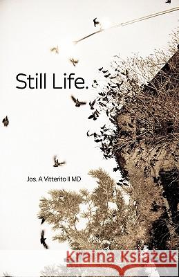 Still Life Jos A. Vitterit 9781451576573 Createspace