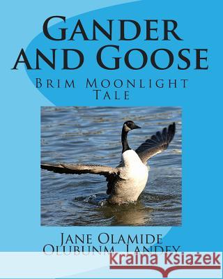 Gander and Goose: Brim Moonlight Tale Jane Olamide Olubunm Landey 9781451591880 Createspace