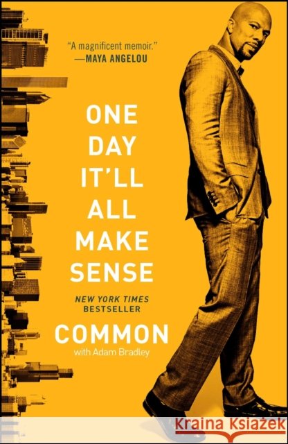 One Day It'll All Make Sense Common (Musician)                        Common                                   Adam Bradley 9781451625882 Atria Books