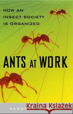 Ants at Work: How an Insect Society Is Organized Deborah Gordon 9781451665703