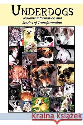 Underdogs: Valuable Information and Stories of Transformation Casey, Caryn 9781452004136 Authorhouse
