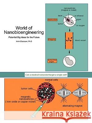 World of Nanobioengineering: Potential Big Ideas for the Future Amin Elsersawi Ph.D 9781452037509