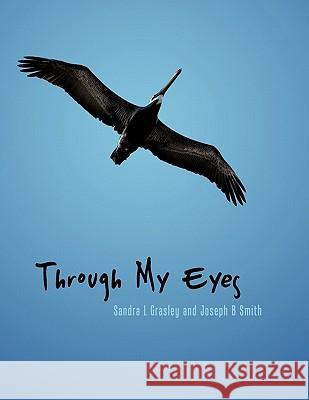 Through My Eyes Sandra L. Grasley Joseph B. Smith 9781452048604 Authorhouse